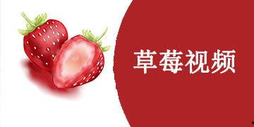草莓视频国产,本土创新与全球视野的交融